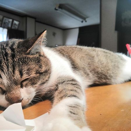 Tiny Guesthouse Umekoji 梅小路 Kyoto Ngoại thất bức ảnh